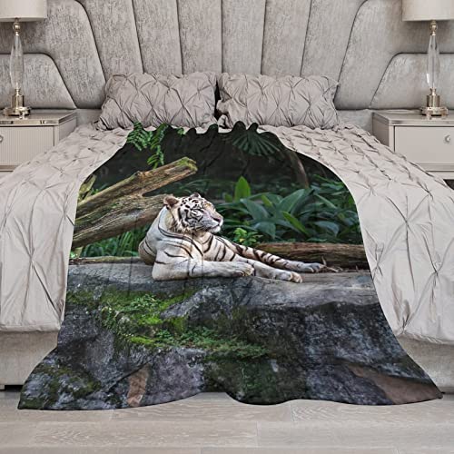 White Tiger Rest in Forest Throw Blanket for Couch Bed Flannel Lap Blanket Lightweight Cozy Plush Blanket for All Seasons 50"x70"