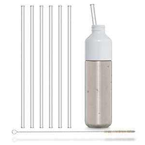 Halm Glass Straws – 6x 12 inch Long Replacement Straw for Stanley Cup 40 oz & 30 oz Plastic-Free Cleaning Brush - Reusable Drinking Straw Dishwasher Safe - Made in Germany