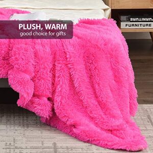 WILL green Faux Fur Blanket, 50 x 60 Plush Blanket, Worm & Cozy Blanket for Couch or Bed Throws, Lightweight Long Hair, for Family, Pink…