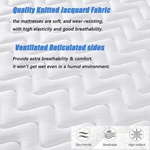 DreamQi Twin Mattress 8 Inch Memory Foam Hybrid Mattress Breathable Comfortable Mattress in A Box Pressure Relief Sleep Supportive(Twin, 8-inch)