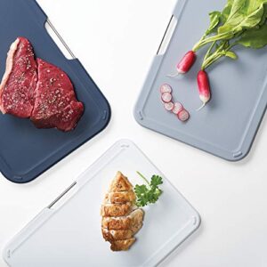 Joseph Joseph Plastic Cutting Board Set with Storage Stand 3 Different Sized Boards