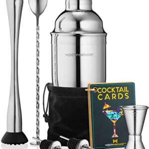 Mixology Cocktail Shaker Set Drink Mixer, 8-Piece Portable Bartender Kit with 24oz Martini Shaker Barware Tool Set, 2 Pourers, Muddler, Jigger, Mixing Spoon, Velvet Bag, Built-in Strainer (Silver)