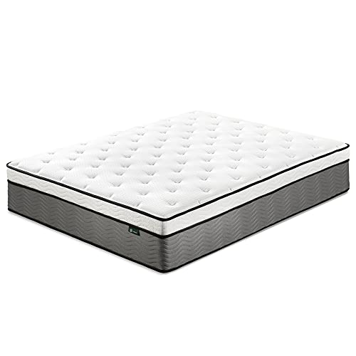 Zinus 14 Inch Support Plus Pocket Spring Hybrid Mattress/Extra Firm Feel/Heavier Coils for Durable /Pocket Innersprings for Motion Isolation,in-a-Box, Queen