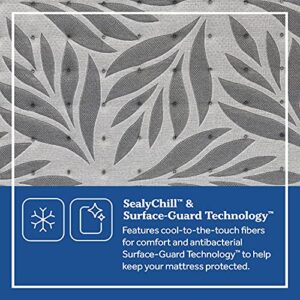Sealy Posturepedic Plus Mattress with Surface-Guard, Tight Top 12-Inch Ultra Firm, Queen, Grey, 52730351