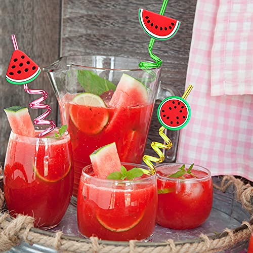 24 Watermelon Fruit Drinking Straws with 2 PCS Straws Cleaning Brush for One in A Melon Party Supplies Watermelon Birthday Party Supplies Decorations Favors