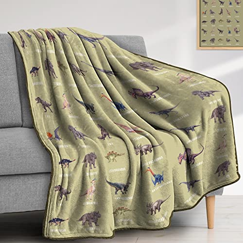 Dinosaur Blanket for Boys，Jurassic World Adults Dino Blanket，Soft Cozy Warm Throw Fleece Blanket for Couch Sofa Bed (Dinosaurs, 80" L x 60" W)