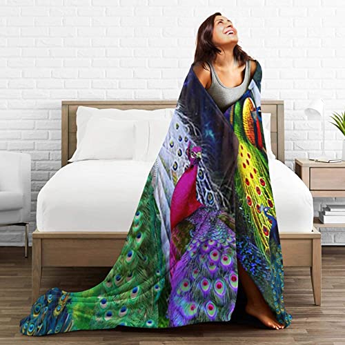 Peacock Throw Blanket Multiple Peacock Elements Luxury Cozy Plush Soft Blanket for Bed, Couch, Sofa, Dorm, Home Decor Prince Size 50"X40"