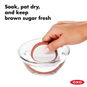 OXO Good Grips POP Container Brown Sugar Keeper