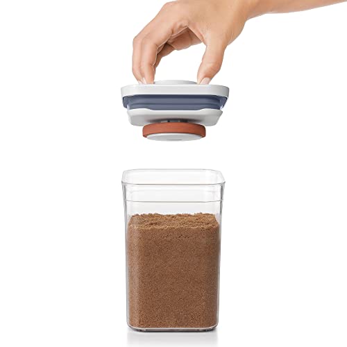 OXO Good Grips POP Container Brown Sugar Keeper