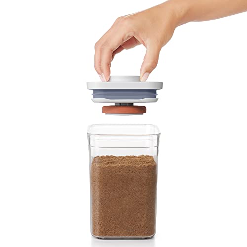 OXO Good Grips POP Container Brown Sugar Keeper