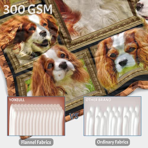 Throw Blanket King Charles Cavalier Dog Blankets Fuzzy Fleece Soft Blanket Cozy Warm Travel Blanket for Couch Sofa or Bed, Dogs Lover Gift, 50 x 60 Inch