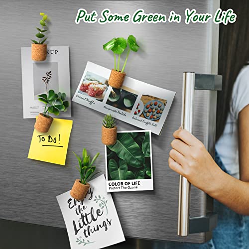 JUSTDOLIFE Plant Fridge Magnets-Mini Succulent Magnets Artificial Plants Refrigerator Magnets Potted Succulent Plants Magnet Stickers Cute for Magnet Boards Fridge Home Office Decor