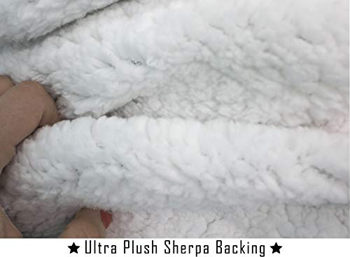 Elegant Comfort Luxury Ultra-Plush Velvet Touch Fleece Throw Soft, Sherpa-Backing Reversible Blanket for Bed, Sofa and Couch, (50 x 60"), Zebra