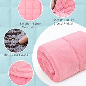 Cottonblue Weighted Blanket 7lbs for Adults, Luxury Crystal Velvet Weighted Lap Blanket for Relaxation, Lounging, Sleeping & Travel -Household Machine Washable, Pink, 29" x 24"