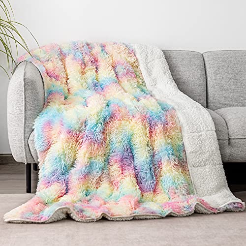 Cottonblue Faux Fur Weighted Blanket 15 lbs for Adult 48x72 Inches, Plush Shaggy Fluffy Throw Blanket Twin ​Size, Cozy Warm Furry Weighted Blanket for Couch Sofa Chair Home Decor, Rainbow