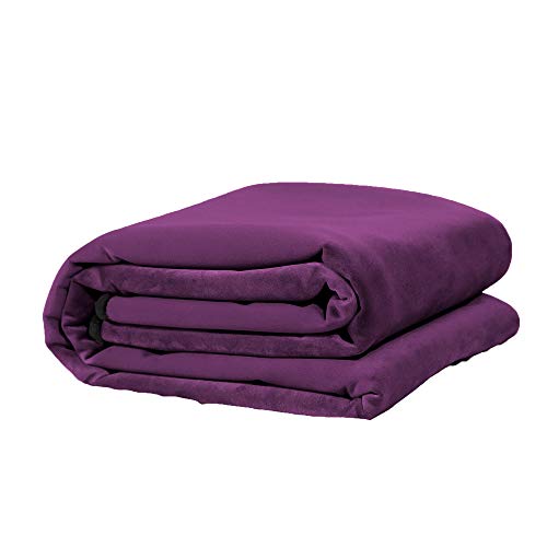 Avana Waterproof Throw Blanket | Protector for People and Pets | Leak Proof Moisture Barrier - Regular Size, Micro-Velvet Purple