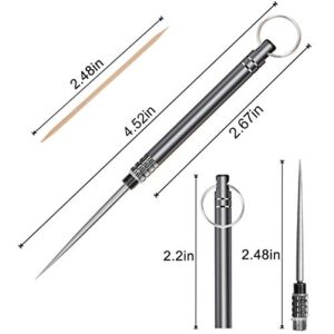 Iliensa 3 Pieces Portable Titanium Toothpicks,Metal Pocket Toothpick Stainless Steel Toothpick Reusable Toothpicks for Outdoor Camping Picnic Travel (Black)