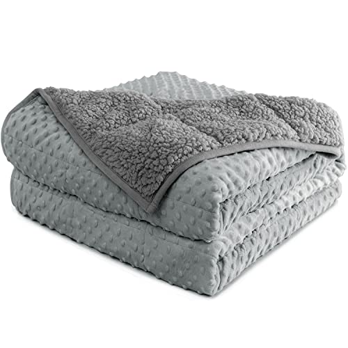 Mr. Sandman Minky Sherpa Weighted Blanket 15 lbs for Adults, Cozy Fluffy Heavy Blanket Throw Twin/Full Size, Great for Relax and Calming - 48''x72'', Grey