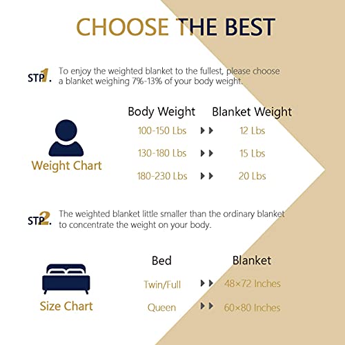 Mr. Sandman Minky Sherpa Weighted Blanket 15 lbs for Adults, Cozy Fluffy Heavy Blanket Throw Twin/Full Size, Great for Relax and Calming - 48''x72'', Grey