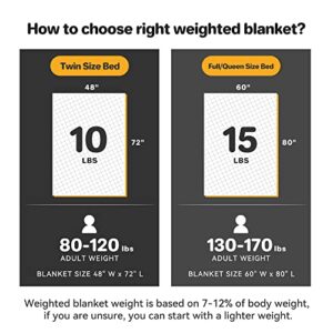 LOYIGA Weighted Blanket (10 lbs 47"x70" Twin Size), Adult Cooling Breathable Heavy Blankets with Glass Beads, Soft Throw Blanket for All Seasons (Dark Grey)