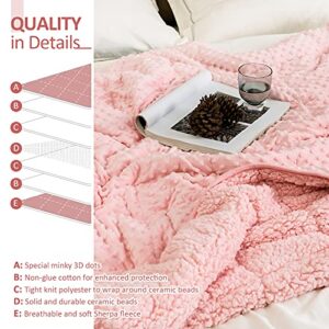 Sted Weighted Blanket 20 lbs, Soft Warm Sherpa Fleece Heavy Blanket Adult, Minky Dot Bed Blanket for Sleep Home, Machine Washable, Pink 60"×80" 20 lbs