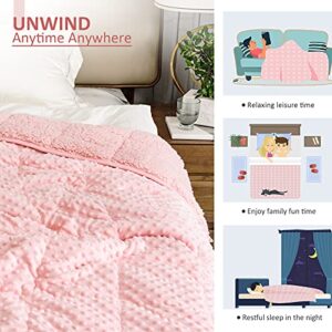 Sted Weighted Blanket 20 lbs, Soft Warm Sherpa Fleece Heavy Blanket Adult, Minky Dot Bed Blanket for Sleep Home, Machine Washable, Pink 60"×80" 20 lbs