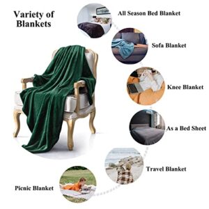 JIAHANNHA Fleece Blanket King Size Green 108 by 90 Inches Blankets for Couch Sofa Bed 280GSM,Super Soft Cozy and Luxury Bed Blanket for All Season