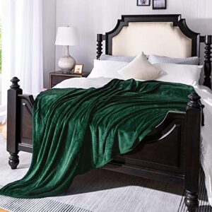 jiahannha fleece blanket king size green 108 by 90 inches blankets for couch sofa bed 280gsm,super soft cozy and luxury bed blanket for all season