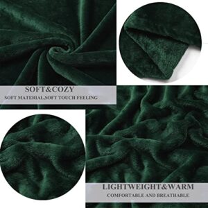 JIAHANNHA Fleece Blanket King Size Green 108 by 90 Inches Blankets for Couch Sofa Bed 280GSM,Super Soft Cozy and Luxury Bed Blanket for All Season