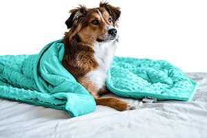 nappy puppy - weighted dog blanket | specially designed for anxious dogs | extra comfortable | premium minky fabric | hypoallergenic glass beads | aqua | large 6 lb