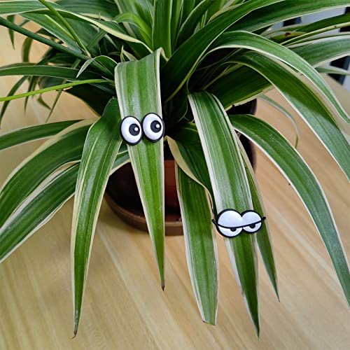 HOMDSG Cute Plant Magnets Eyes for Potted Plants, Plant Safe Magnet Pins Charms, Unique Gifts for Plant Lovers, Indoor Plant Accessories, Set of 6