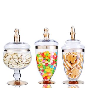 Set of 3 Clear Glass Apothecary Jars with Lids, Bathroom Canisters, Vanity Organizers, Candy Buffet, Wedding Display