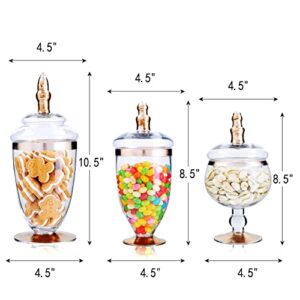 Set of 3 Clear Glass Apothecary Jars with Lids, Bathroom Canisters, Vanity Organizers, Candy Buffet, Wedding Display