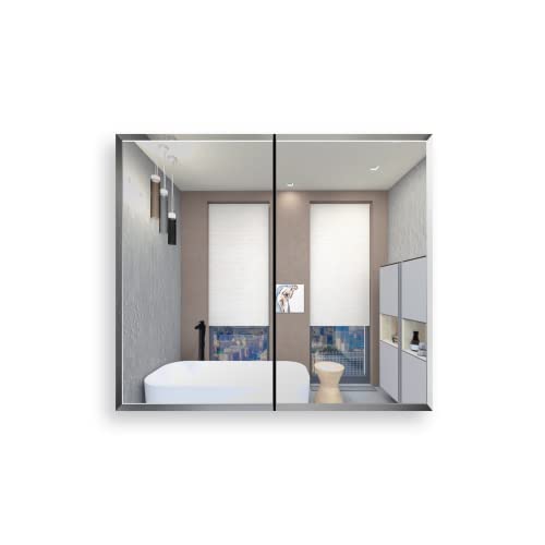 PIWAYPI 30x26 inch Double Door Mirror Medicine Cabinet Surface Mount or Recess Aluminum