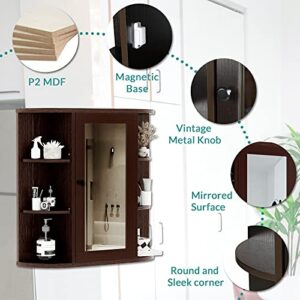 MEETWARM Bathroom Cabinet Wall Mounted Multipurpose Hanging Cupboard Kitchen Medicine Storage Organizer with Mirror Single Door and 2 Adjustable Shelves (Coffee)