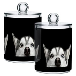 2 pack qtip holder dispenser husky dog look apothecary jars with lids dog plastic acrylic bathroom vanity countertop canister storage organizer for cotton ball,swabs,pads,floss
