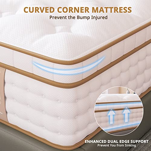 BedStory 12" Hybrid Queen Mattress in a Box,Gel Memory Foam Mattress with Pocket Spring, Medium Firm Mattress with Dual Brim Design for Supportive&Pressure Relieving&Motion Isolated Sleep, Made in USA