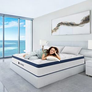 FLEXPEDIC Deep Sleep Queen Mattress 10 Inch in A Box, Cloud Euro Top Soft Hybrid Mattress Made in USA, Memory Foam Pocket Innerspring Mattresses, CertiPUR-US Certified