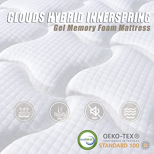 FLEXPEDIC Deep Sleep Queen Mattress 10 Inch in A Box, Cloud Euro Top Soft Hybrid Mattress Made in USA, Memory Foam Pocket Innerspring Mattresses, CertiPUR-US Certified