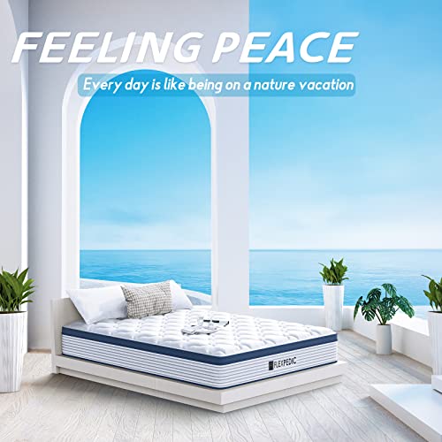 FLEXPEDIC Deep Sleep Queen Mattress 10 Inch in A Box, Cloud Euro Top Soft Hybrid Mattress Made in USA, Memory Foam Pocket Innerspring Mattresses, CertiPUR-US Certified