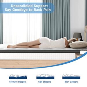 wowttrelax Queen Mattress 12 Inch, Hybrid Memory Foam Mattress, Pocket Innerspring Mattress in a Box, 9-Zone Orthopedic Double Mattress Queen Size for Back Pain, Pressure Relief, Medium Firm