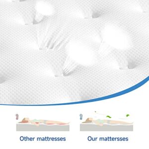 wowttrelax Queen Mattress 12 Inch, Hybrid Memory Foam Mattress, Pocket Innerspring Mattress in a Box, 9-Zone Orthopedic Double Mattress Queen Size for Back Pain, Pressure Relief, Medium Firm