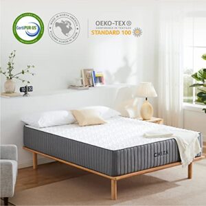 CHITA Twin Size Hybird Mattress,12 Inches Gel-Infused Mattress,Fiberglass Free 7 Zone Pocket Spring Mattress,Mattress in a Box,100 Night Trial-10 Years Warranty,CertiPUR-US Certified