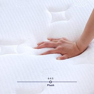 Sunrising Bedding 11" Natural Latex Hybrid Mattress Full, Euro Top, Individually Pocketed Coils, Medium Soft, Organic Mattress, 120-Night Risk-Free Trial, 20-Year Warranty