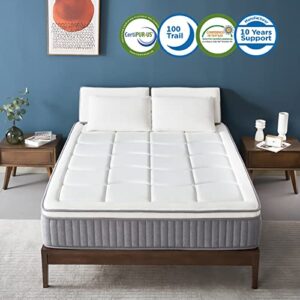 DIGLANT Twin Hybrid Mattress, 12 Inch Euro Top Gel Memory Foam with Pocket Spring Mattress in a Box and Balance Support, Medium Feel CertiPUR-US Certified Mattress