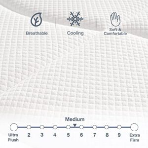 DIGLANT Twin Hybrid Mattress, 12 Inch Euro Top Gel Memory Foam with Pocket Spring Mattress in a Box and Balance Support, Medium Feel CertiPUR-US Certified Mattress