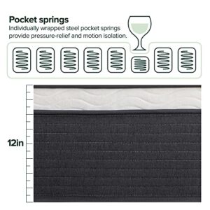 Zinus 12 Inch Comfort Essential Pocket Spring Hybrid Mattress/Pressure Relieving Support/CertiPUR-US Certified/Mattress-in-a-Box, Full