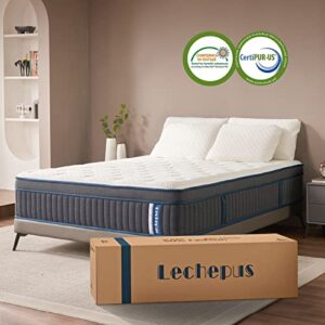 Queen Mattress, Lechepus 14 Inch Hybrid Mattress,Plush Gel Memory Foam and Pocket Springs Mattress in Box,Fiberglass Free,Queen Size Mattressfor Cooler Supportive & Back Pain Relief, 60" X 80" X 14"