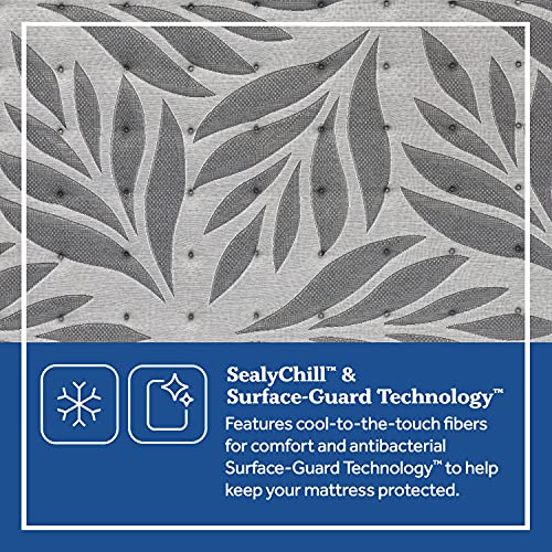 Sealy Posturepedic Plus, Tight Top 13-Inch Medium Mattress with Surface-Guard, Queen, Grey