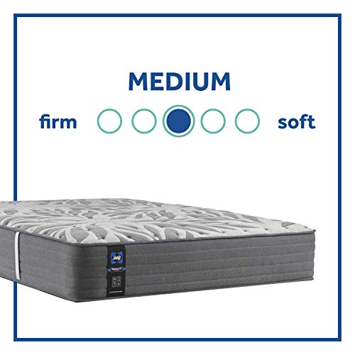 Sealy Posturepedic Plus, Tight Top 13-Inch Medium Mattress with Surface-Guard, Queen, Grey
